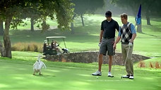 Aflac commercial Fore! Days