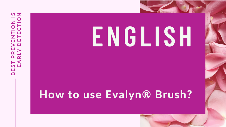 How to use Evalyn® Brush