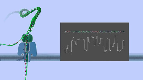 Sequencing DNA (or RNA)  Real-time Ultra Long-Reads Scalable Technology from Oxford Nanopore