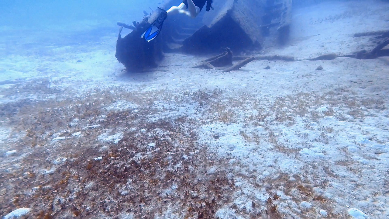 TN Divers - Underwater Footage