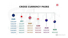 FOREX CURRENCY PAIRS DIVIDION