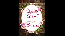 Adam&Shanelle Babcock Wedding