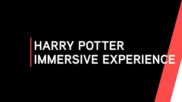 Harry Potter Immersive Experience Rental Home Tour