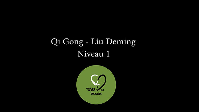 Qi Gong : Liu Deming