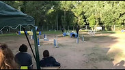 agility competition 