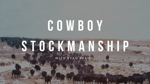Cowboy Stockmanship