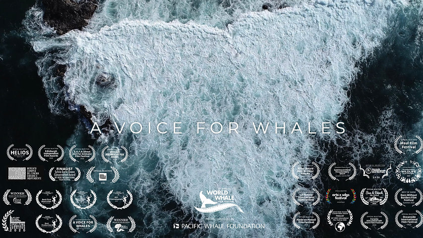 A Voice for Whales