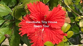 Tiny house room tour