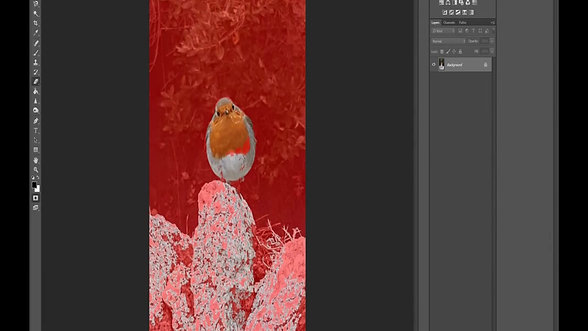 pasting images in photoshop