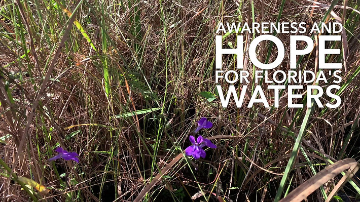 Hope for Florida's Waters
