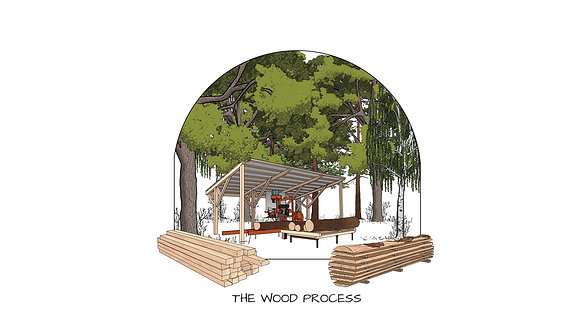 Growing Up Green - The Wood Process