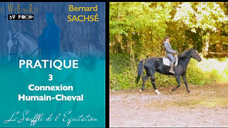 Bernard SACHSÉ : Connexion Humain-Cheval