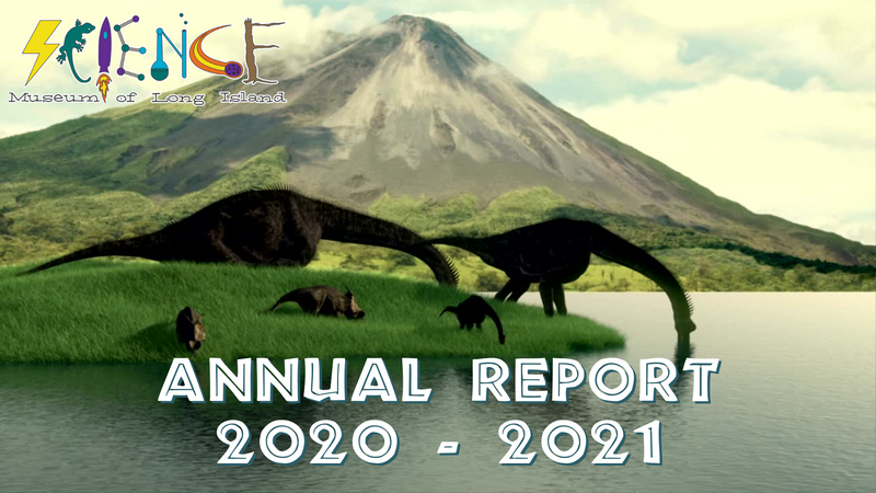SMLI 2020-2021 Annual Report Video