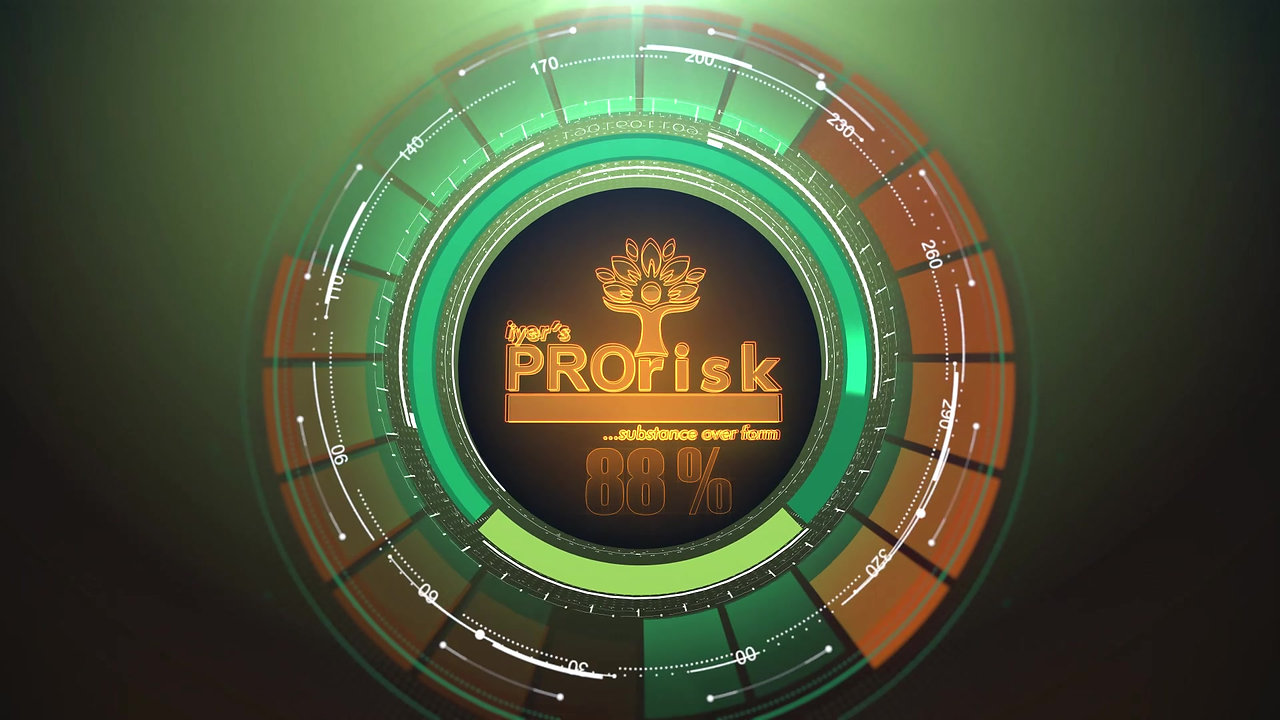 Pro-Risk Logo Video