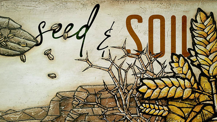 Seed & Soil