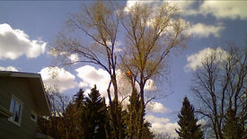 Living Skies Tree Service Time Lapse