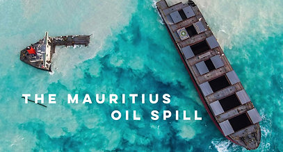 The Mauritius oil spill