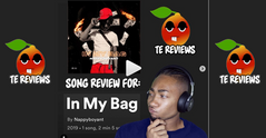 TE Review for Nappyboyant- In My Bag