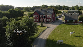Rigneys Farm