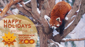 Sedgwick County Zoo Holiday Video