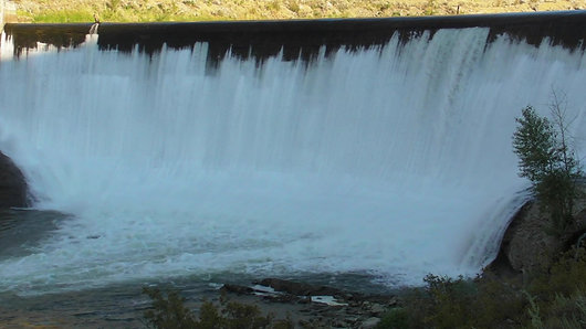 Fish jumping at the base of Enloe Dam