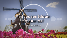 What does your behavior say about you?