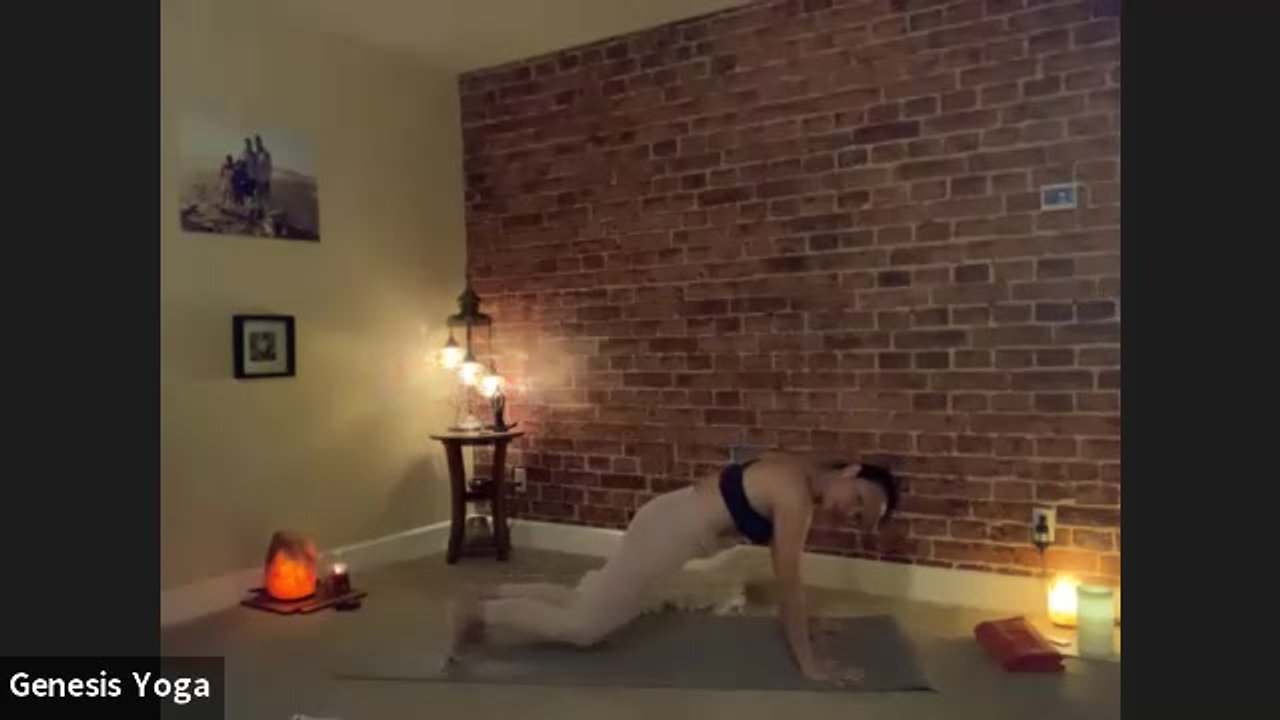 Yoga Videos & Classes