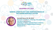 Normal embryology and morphogenesis of the human nervous system by Dr. Harvey Sarnat