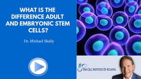 What Is The Difference - Adult & Embryonic Stem Cells?