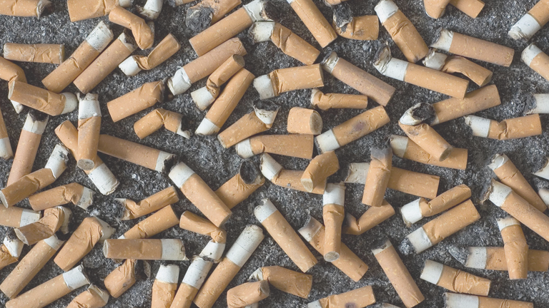 Why Cigarette Butts?