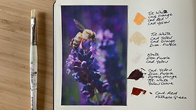 Colour Mixing: Bee and Lavender