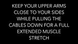 Arm Day-Tricep Pulls (12.9)
