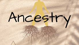 Stretch & Unwind - Ancestry Vinyasa Flow