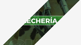 Lecheria
