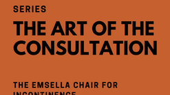 The Emsella Chair Consultations at Skin Wellness MD