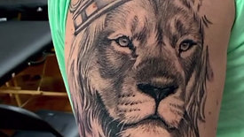REALISTIC LION TATTOO BY AUSTIN TAYLOR