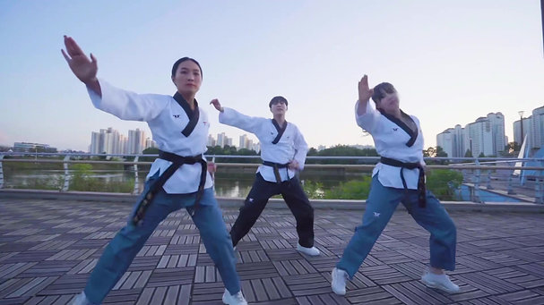 Taekwondo K-Pop Choreography