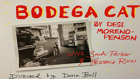 Bodega Cat Title Card- Planet Connections