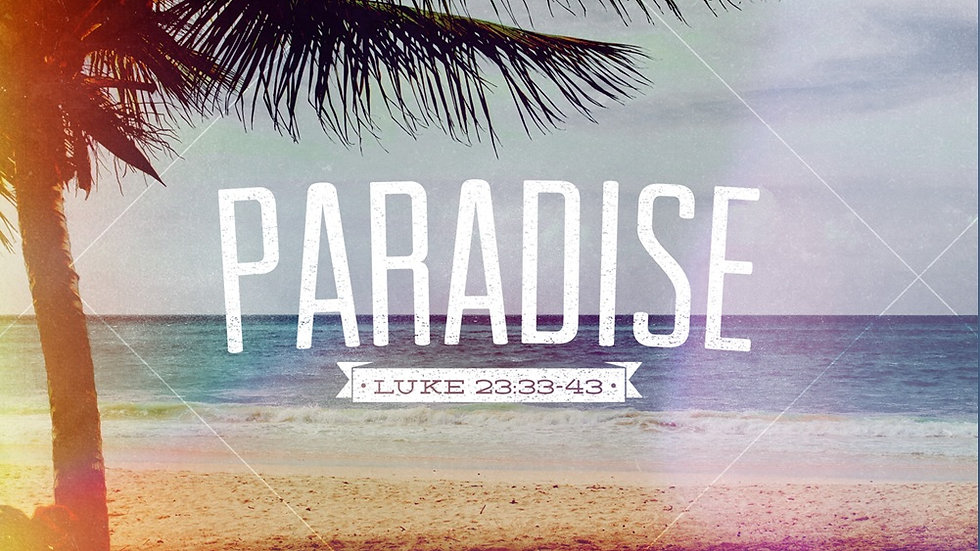 Paradise : Ryan Wisenhunt