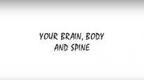 Brain, body and spine