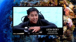 OPPortunity: Can This Coral Diver Save Bali?