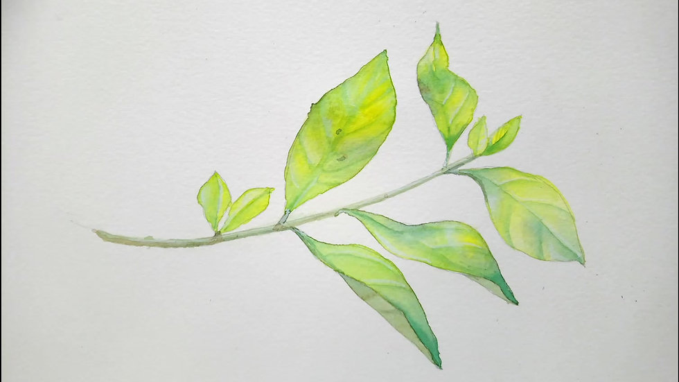 watercolour leaves