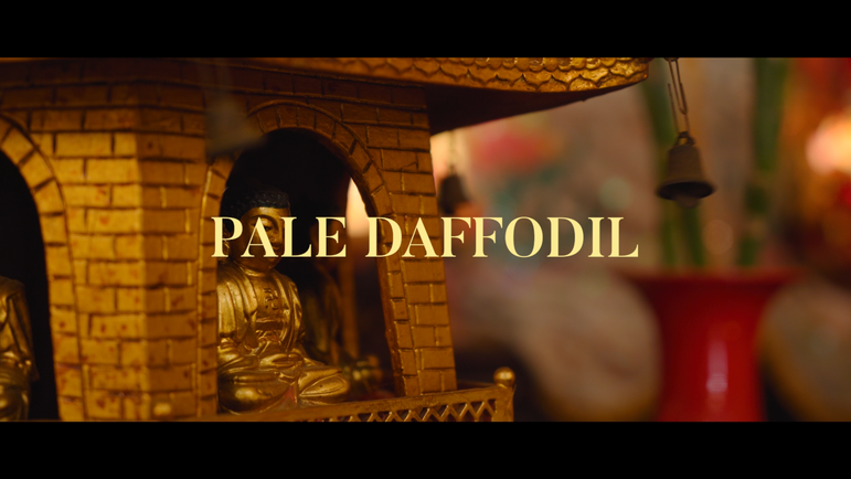 Pale Daffodil 48 Hours Film Challange