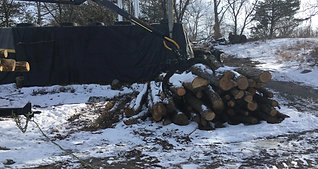 Log loader in action! 