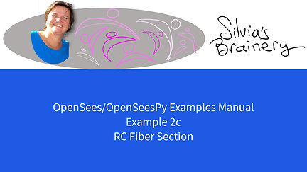 OpenSees Examples Manual Video 6 Ex2c