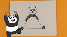 Does a Panda Really Have 3 Sides?