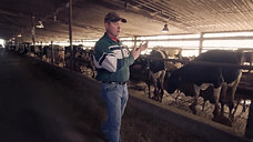 Tour a Florida Dairy Farm
