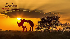 Safari Africa - Rhinoceros