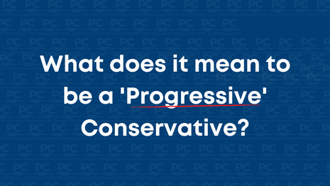 What is a 'progressive' conservative