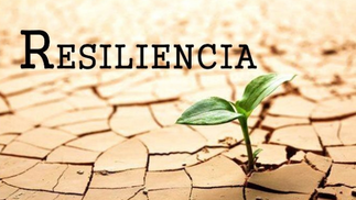 Crisis y Resiliencia